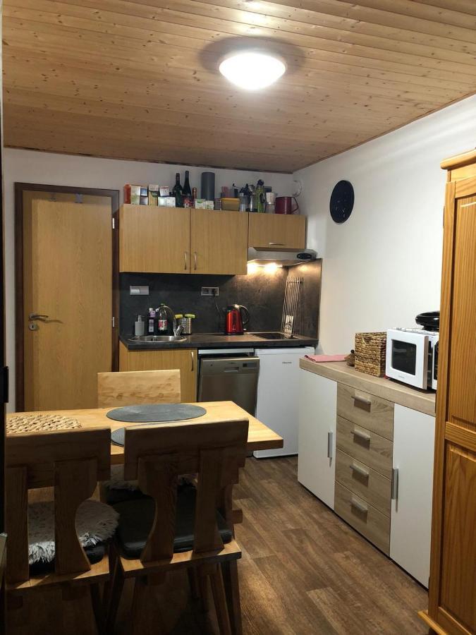 Apartman S Vyhledem Na Jezerni Stenu Zelezna Ruda Ngoại thất bức ảnh