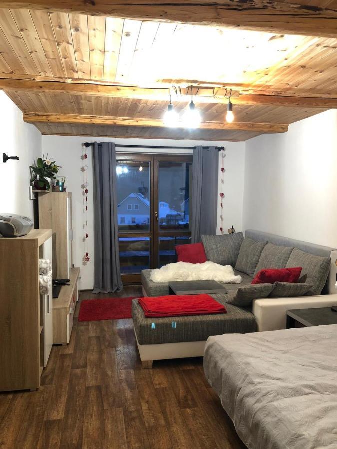 Apartman S Vyhledem Na Jezerni Stenu Zelezna Ruda Ngoại thất bức ảnh
